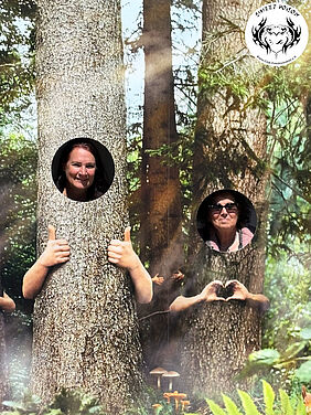 Wald, Wald, Wald